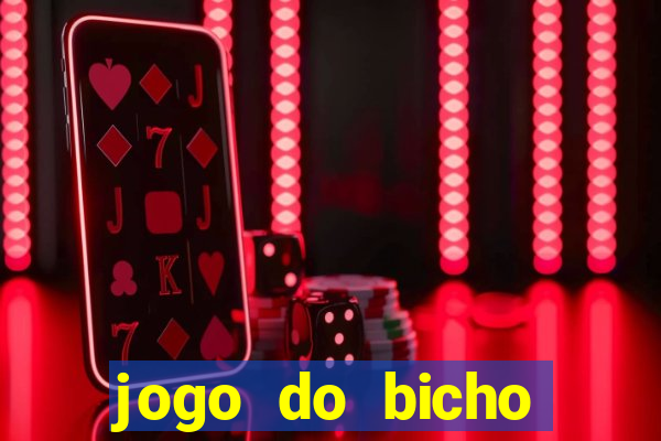 jogo do bicho feira de santana