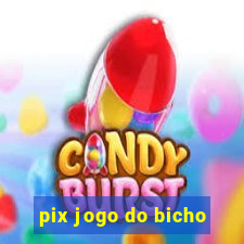 pix jogo do bicho