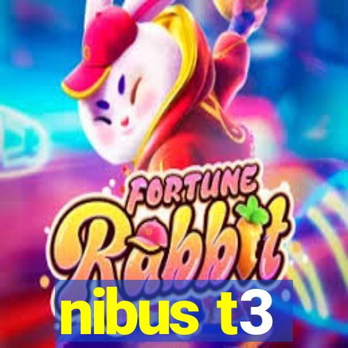 nibus t3