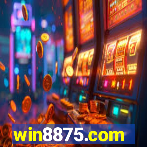 win8875.com