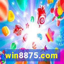 win8875.com