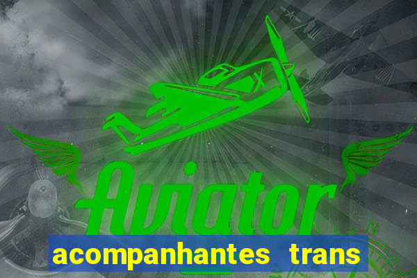 acompanhantes trans porto seguro