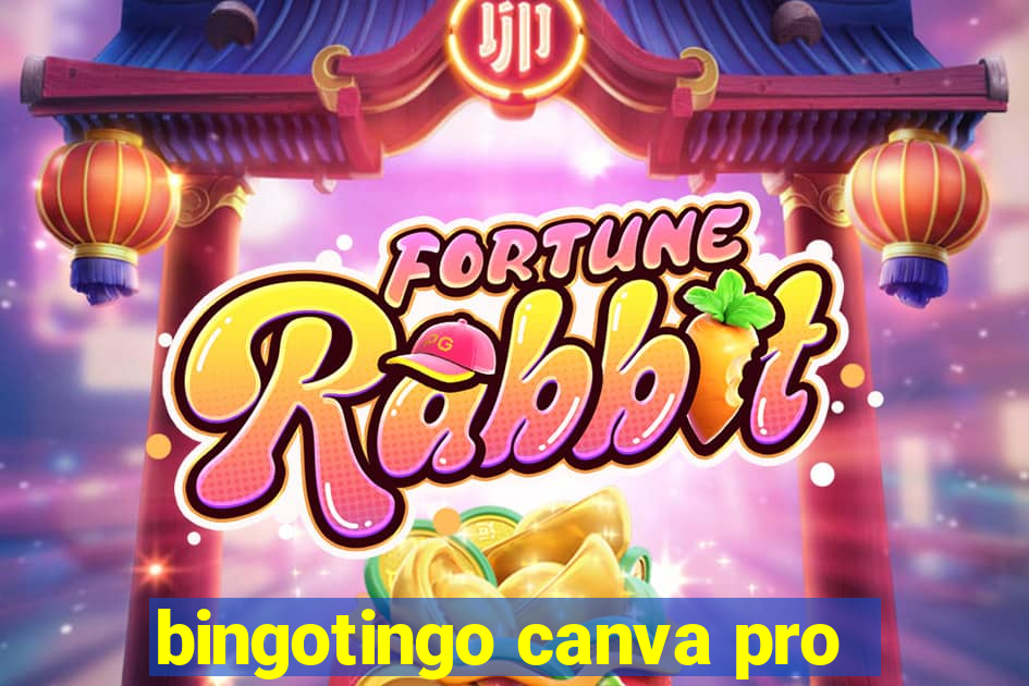 bingotingo canva pro