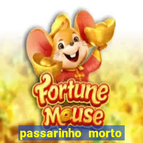 passarinho morto significado espiritual