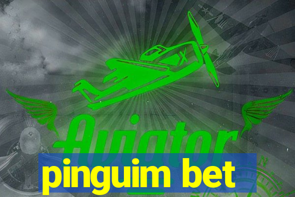 pinguim bet