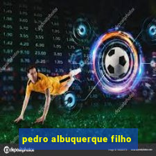 pedro albuquerque filho