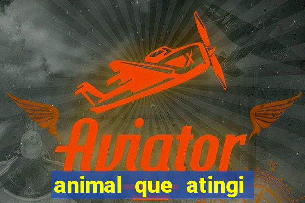 animal que atingi 230 decibeis