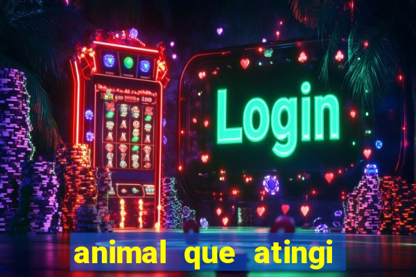 animal que atingi 230 decibeis