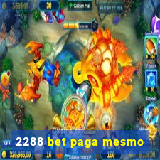 2288 bet paga mesmo