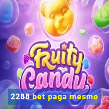 2288 bet paga mesmo