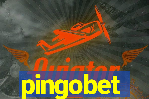 pingobet