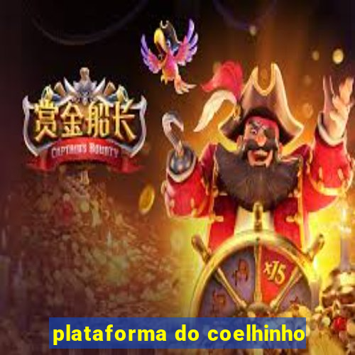 plataforma do coelhinho