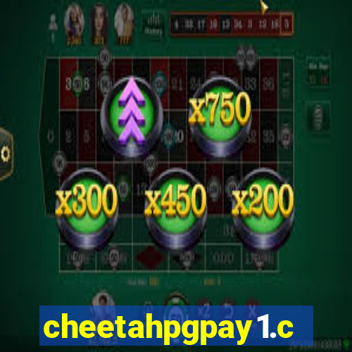 cheetahpgpay1.com