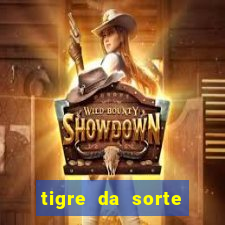 tigre da sorte fortune tiger 2 demo