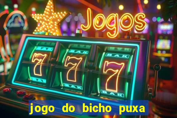 jogo do bicho puxa de dona maria