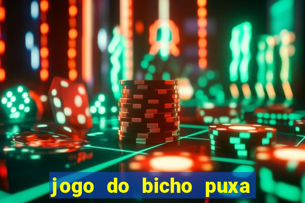 jogo do bicho puxa de dona maria