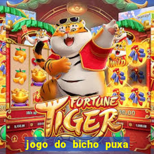 jogo do bicho puxa de dona maria