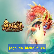 jogo do bicho puxa de dona maria