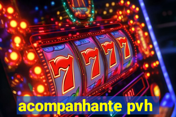 acompanhante pvh