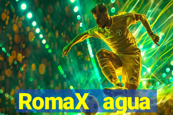 RomaX agua sanitaria fispq agua sanitaria romax