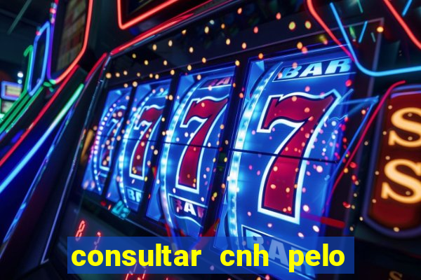 consultar cnh pelo cpf sp