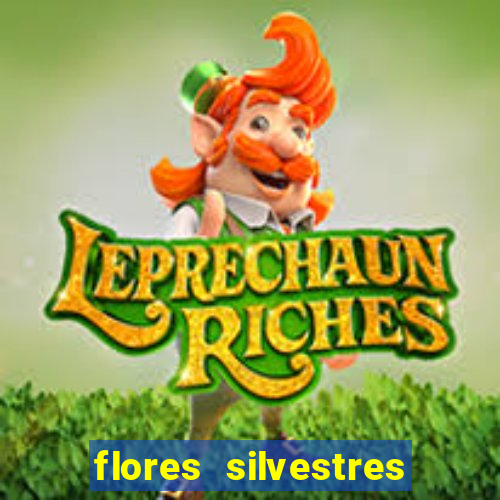 flores silvestres desbravadores desbravadores 25 flores silvestres e seus nomes