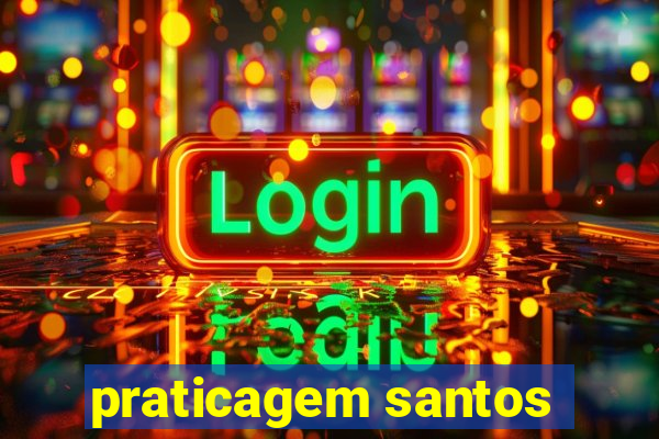 praticagem santos