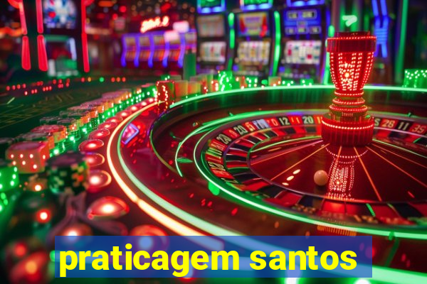 praticagem santos