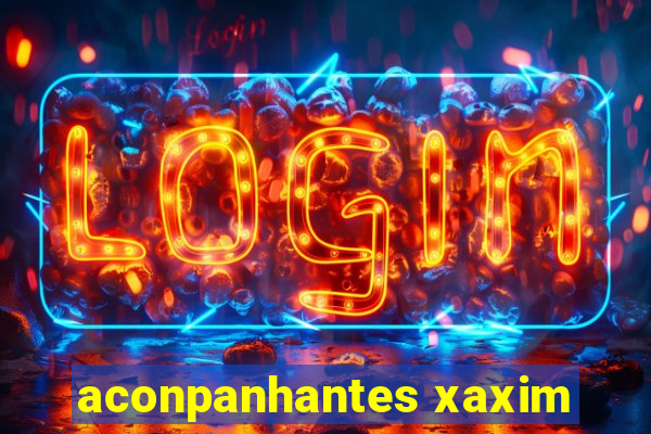 aconpanhantes xaxim