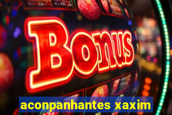 aconpanhantes xaxim