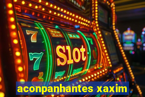 aconpanhantes xaxim