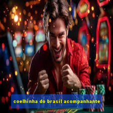 coelhinha do brasil acompanhante