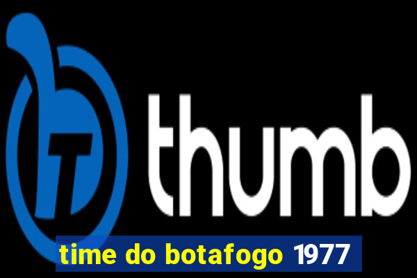 time do botafogo 1977