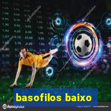 basofilos baixo