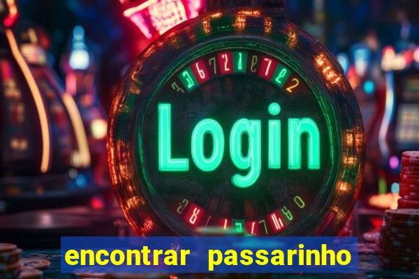 encontrar passarinho morto significado