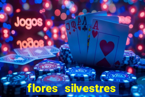 flores silvestres desbravadores desbravadores 25