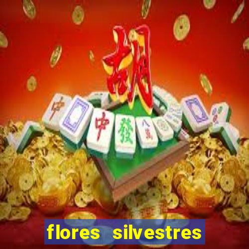 flores silvestres desbravadores desbravadores 25