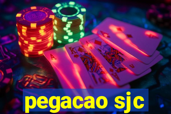 pegacao sjc