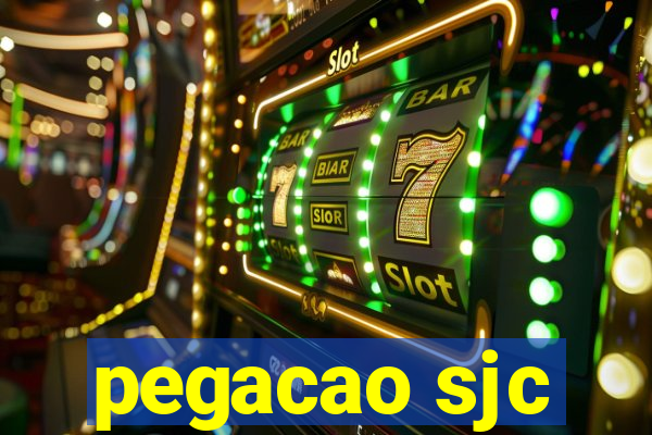 pegacao sjc