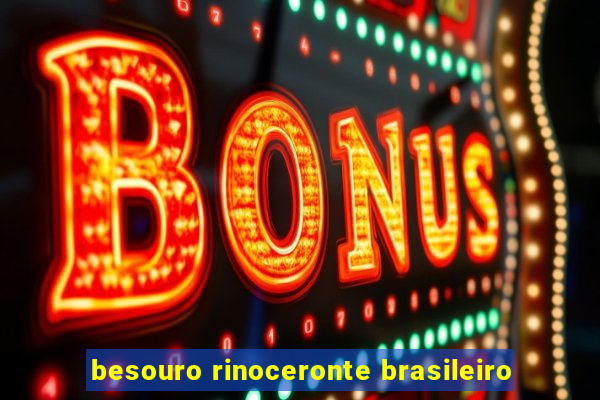 besouro rinoceronte brasileiro