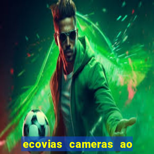 ecovias cameras ao vivo santos