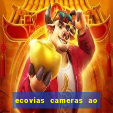 ecovias cameras ao vivo santos