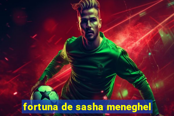 fortuna de sasha meneghel