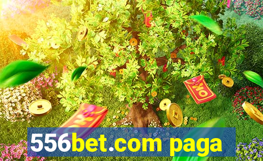 556bet.com paga