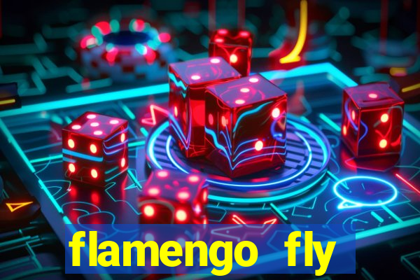 flamengo fly emirates ultimas noticias