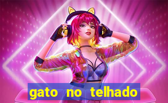 gato no telhado significado espiritual