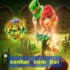 sonhar com boi jogo do bicho