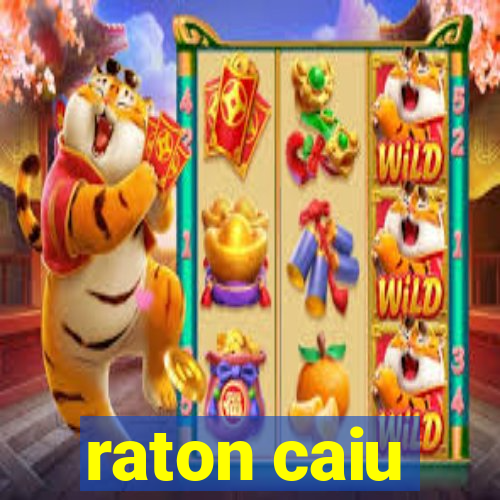 raton caiu