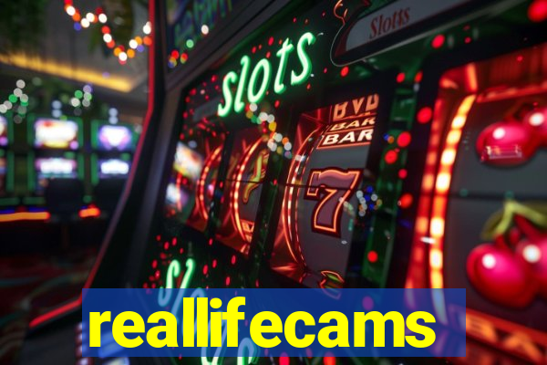 reallifecams