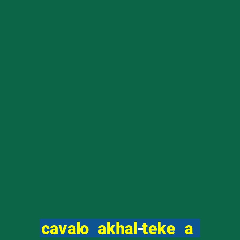 cavalo akhal-teke a venda no brasil cavalo akhal teke no